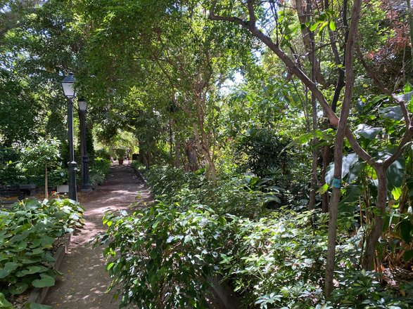 Huerto de Las Flores - Jardín Botánico de Agaete – place of cultural  interest in Canary Islands, reviews, prices – Nicelocal